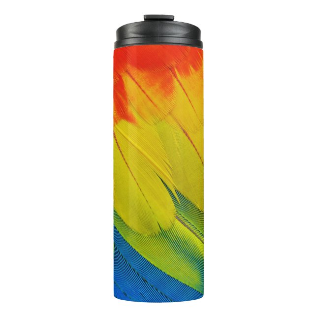 TERMO CERCA DE LAS CARACTERÍSTICAS COLORIDAS DE A S (Anverso)