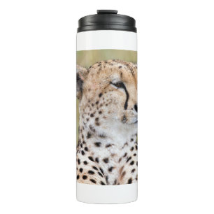 Termo Cheetah