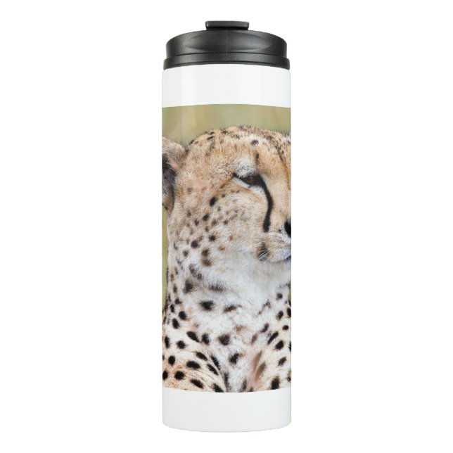 Termo Cheetah (Anverso)