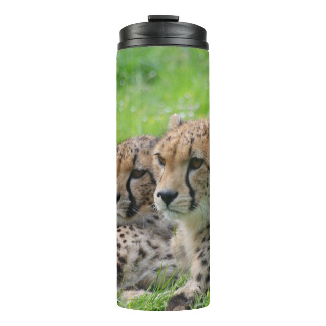 Termo Cheetah 001 (Anverso)