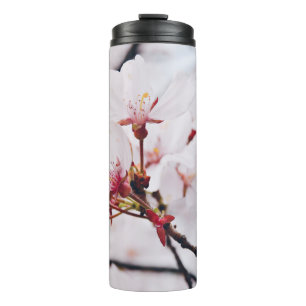 TERMO CHERRY BLOSSOM FLOWERS IN MACRO SHOT