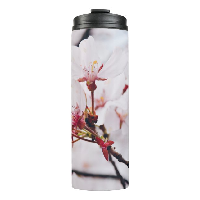 TERMO CHERRY BLOSSOM FLOWERS IN MACRO SHOT (Anverso)