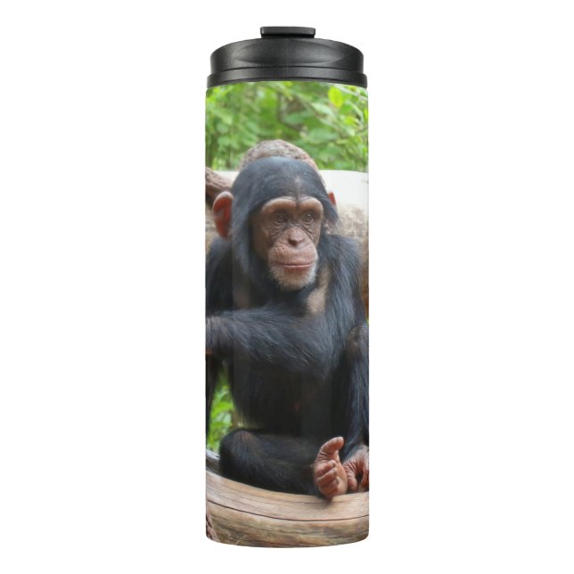 Termo Chimpanzee 001 (Anverso)