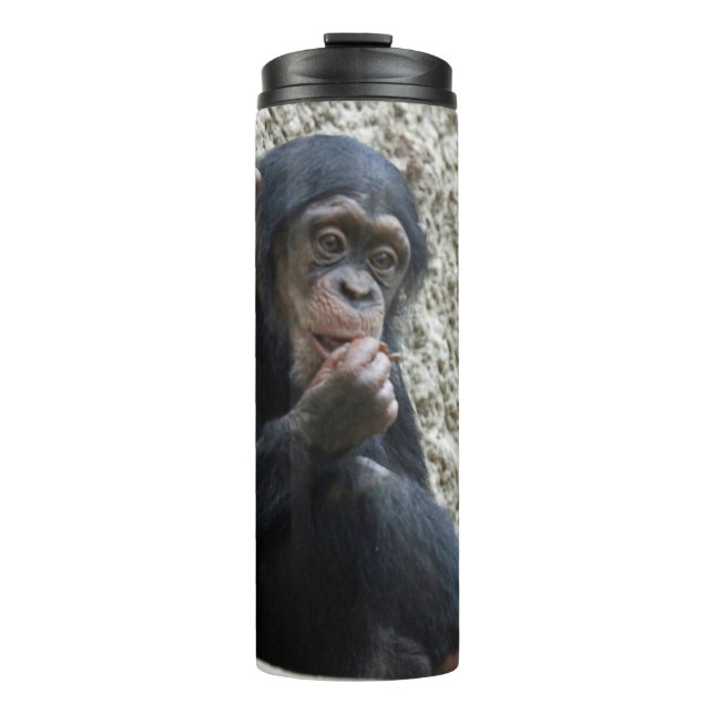 Termo Chimpanzee 013 (Anverso)