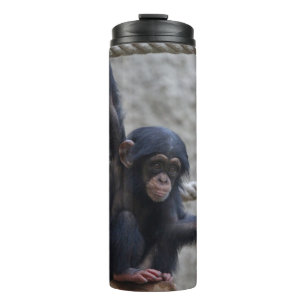 Termo Chimpanzee 017