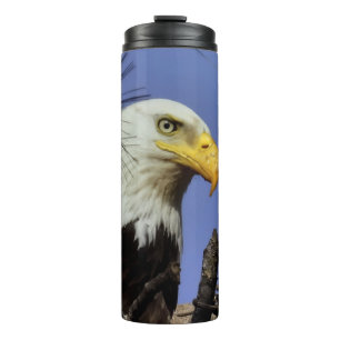 Termo Cierre de la cabeza del águila calva