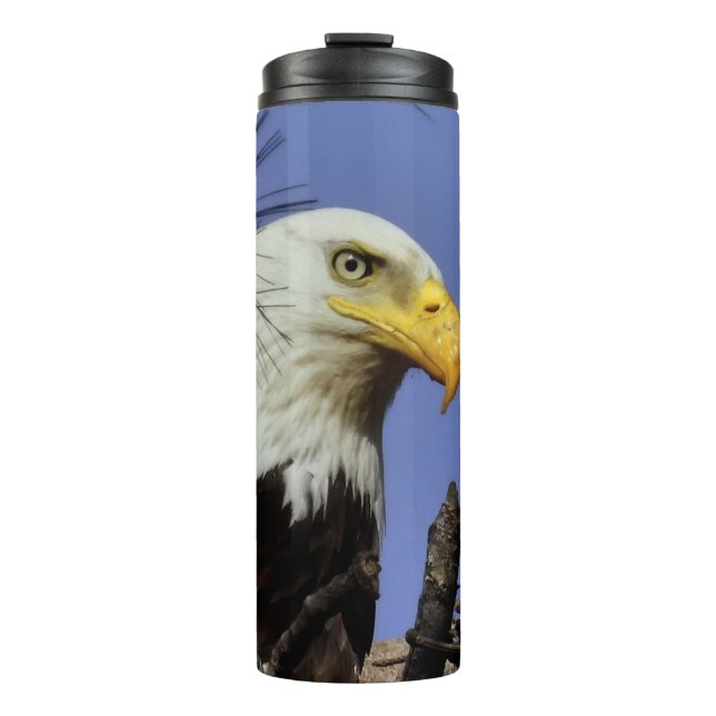 Termo Cierre de la cabeza del águila calva (Anverso)