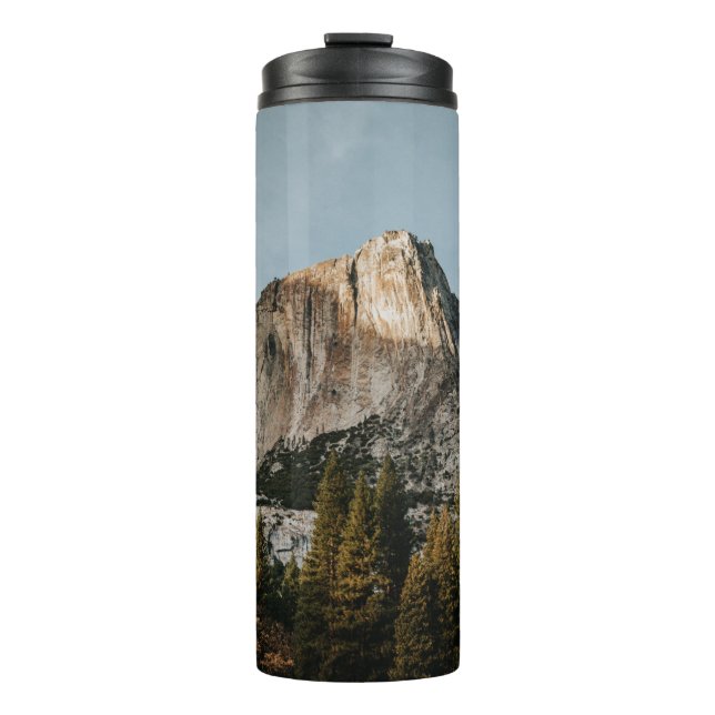 TERMO CIRCUITO MARRÓN CERCA DE ÁRBOLES BAJO CIELO AZUL (Anverso)