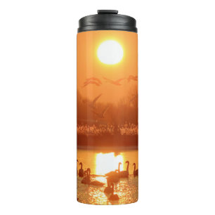 Termo Cisnes en el lago Sunset
