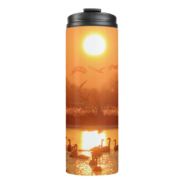 Termo Cisnes en el lago Sunset (Anverso)