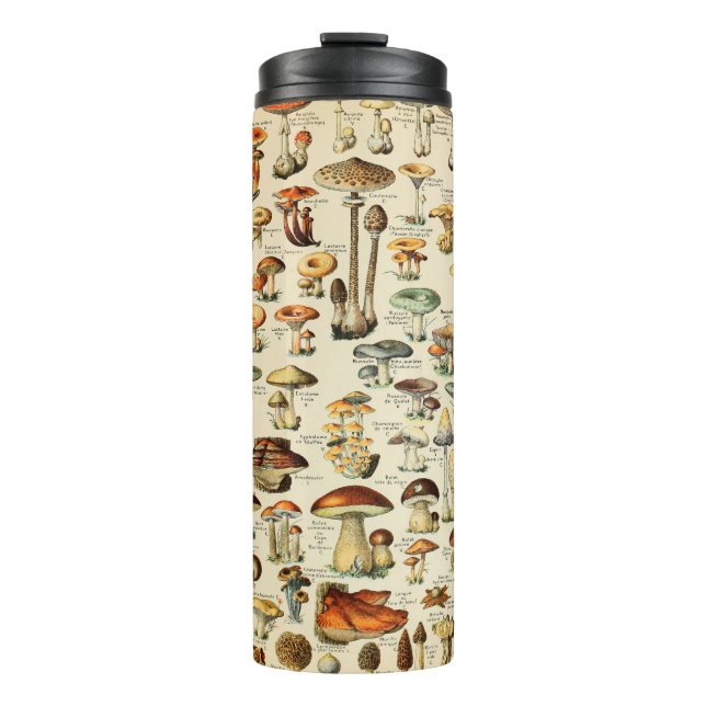 Termo Colección de hongos (Anverso)