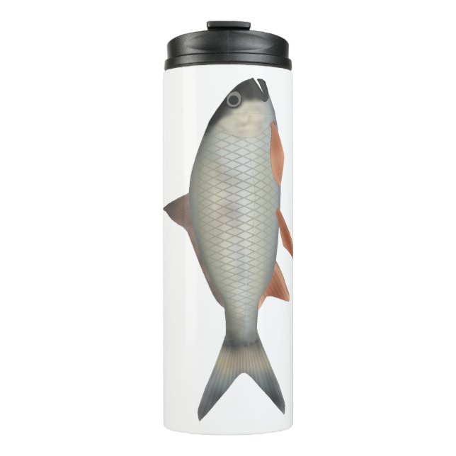 Termo Corvina Asamesa (Anverso)