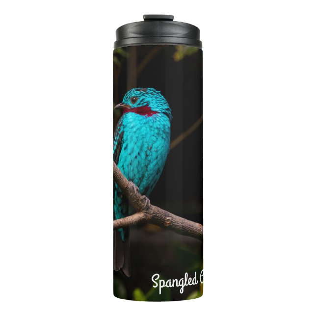 Termo Cotinga española (Anverso)