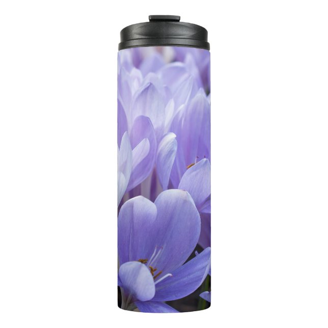 Termo Crocus (Anverso)