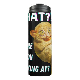 Termo Curioso Misericordioso ¿Qué Estás Mirando?