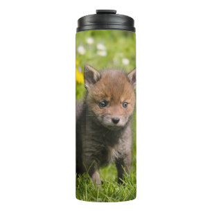 Termo Cute Fluffy Red Fox Cub Wild Baby Animal Photo -