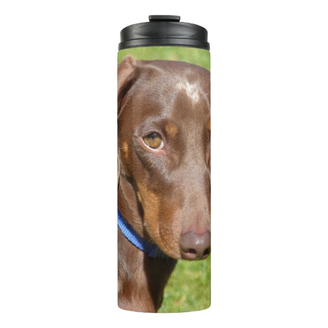 Termo Dachshund (Anverso)