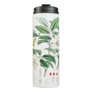 Termo Decorative exotic plants