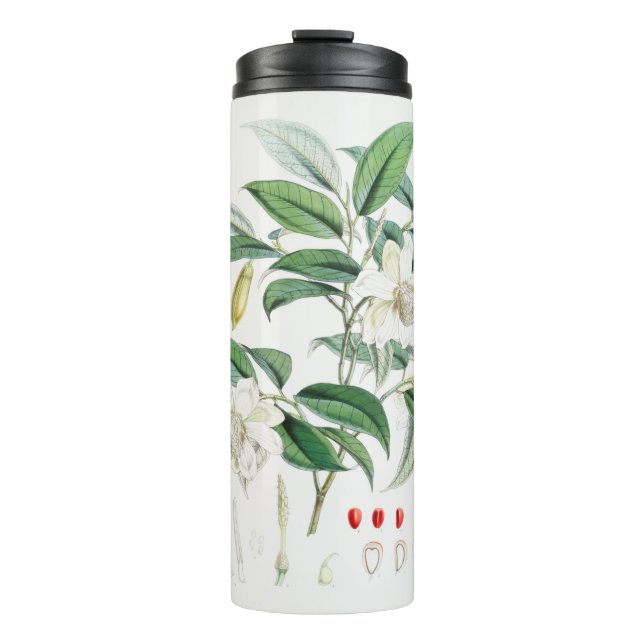 Termo Decorative exotic plants (Anverso)