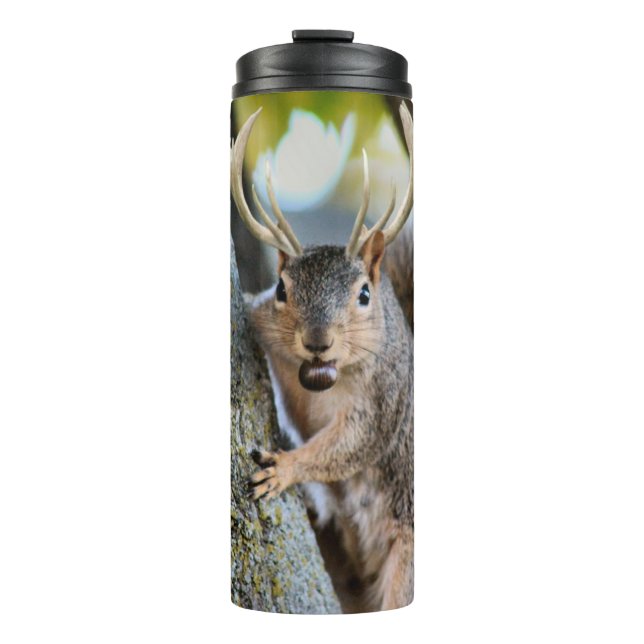 Termo Deer Squirrelly (Anverso)