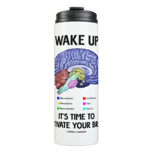 Termo Despierta Es Hora De Activar Tu Cerebro Humor