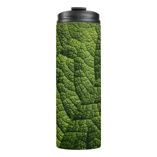 Termo Detalles de la hoja verde de Gunnera (Anverso)