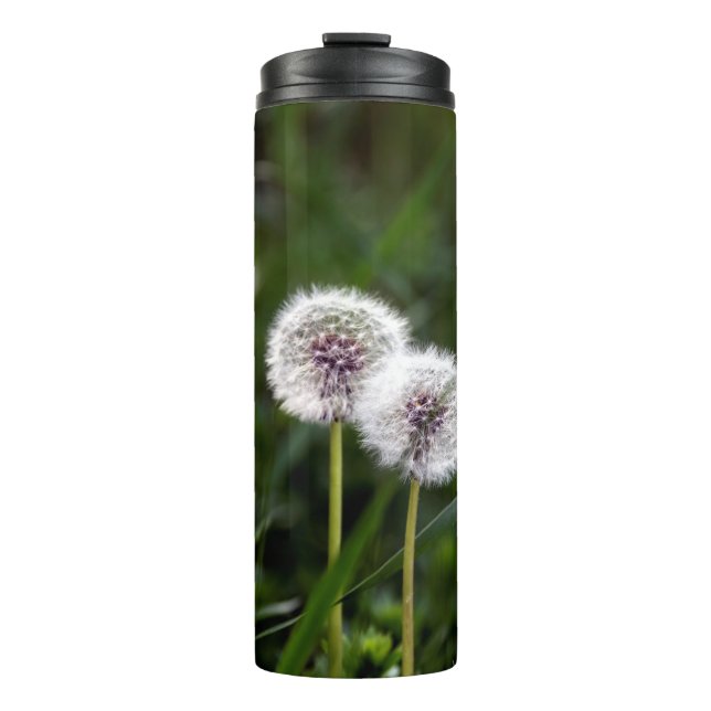 Termo dientes de león (Anverso)