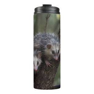 Termo Doble problema en el dosel forestal: dobles posumo