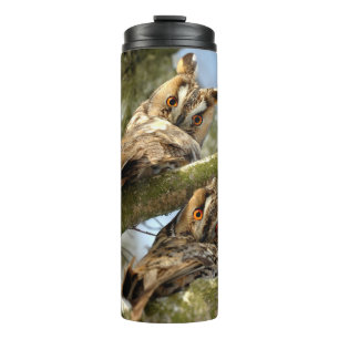 Termo Dos búhos en el bosque, aves, fauna térmica Tum