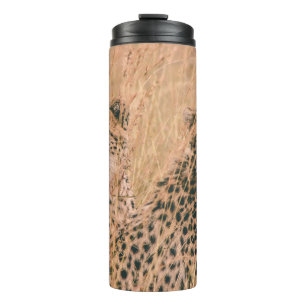 TERMO DOS CHEETAH SENTADOS EN CAMPO A LA HORA DEL DÍA