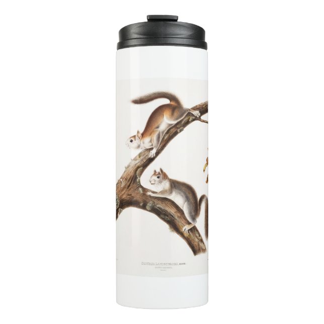Termo Downy Brown Squirrel House (Anverso)