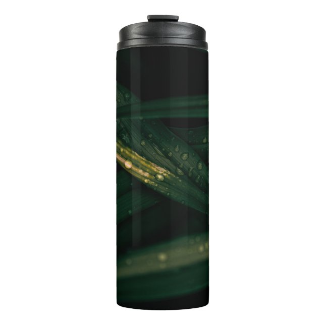 TERMO DROPLEOS DE AGUA EN LA HOJA VERDE (Anverso)