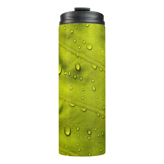 Termo El agua cae sobre la hoja verde (Anverso)