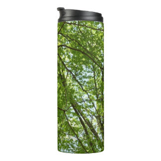 Termo El dosel de la primavera deja la naturaleza verde