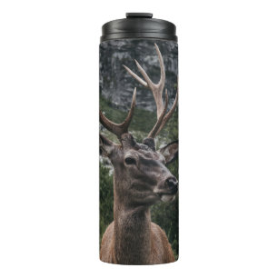 TERMO ELK STACK DEER