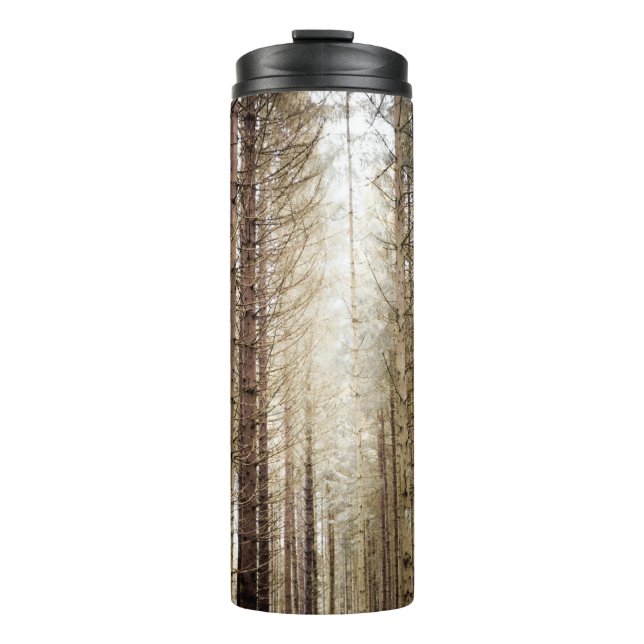 TERMO EN EL BOSQUE (Anverso)