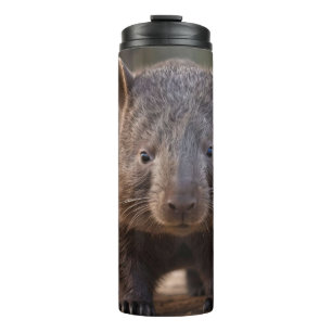 Termo "Encanto Chubby: El Adorable Wombat Australiano"