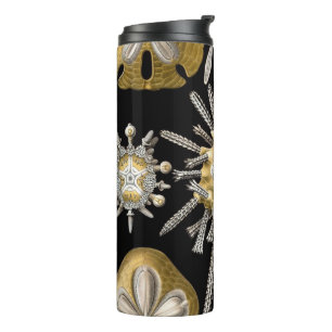 Termo Erizos de Mar Antiguos Dólares de Arena por Ernst 