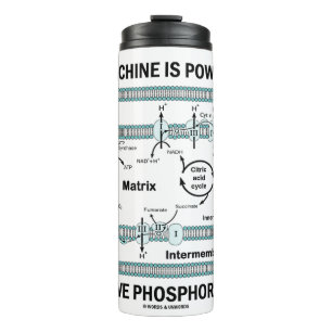 Termo Esta Máquina Alimentada Por Fosforilación Oxidativ