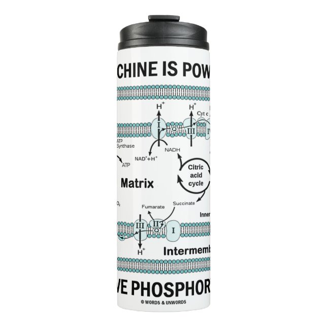 Termo Esta Máquina Alimentada Por Fosforilación Oxidativ (Anverso)