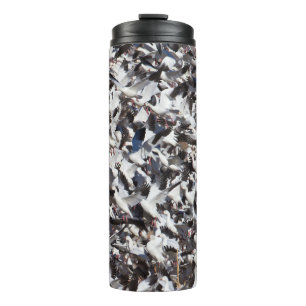 Termo Explosión en la ganso de la nieve