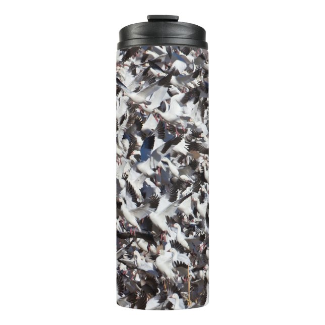 Termo Explosión en la ganso de la nieve (Anverso)