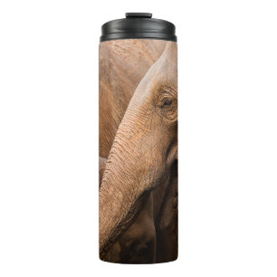 Termo Familia Elefante: Vida silvestre majestuosa