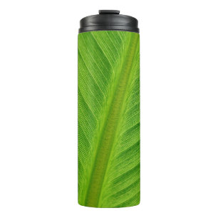Termo Fibras de plátano de hoja de plátano