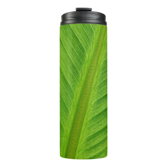 Termo Fibras de plátano de hoja de plátano (Anverso)