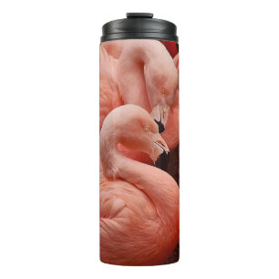 Termo Flamencos rosados