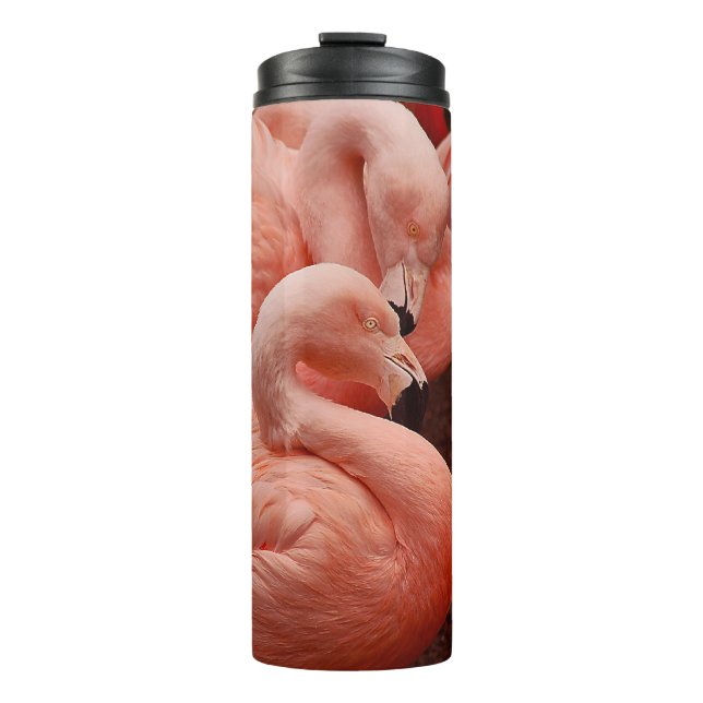 Termo Flamencos rosados (Anverso)