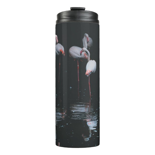TERMO FLAMINGO EN EL FONDO OSCURO (Anverso)