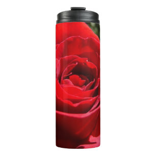 Termo Flor rosa roja brillante hermosa flor
