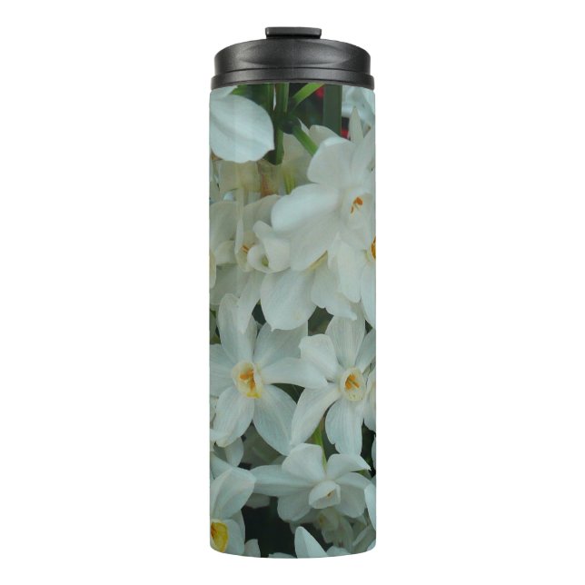 Termo Flores blancas de arcissus paperblancas (Anverso)